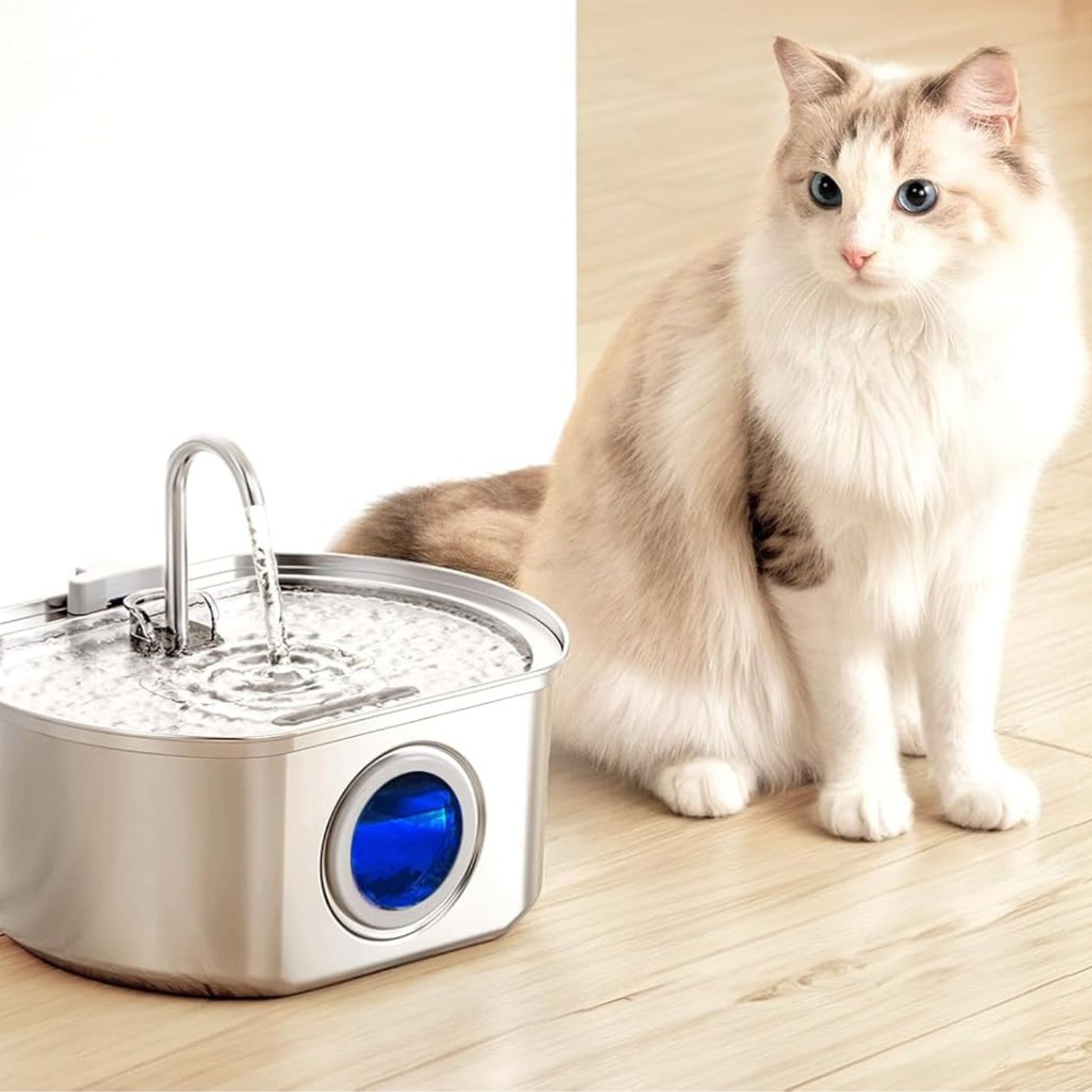 Fontaine à Eau en Acier Inoxydable - Design Élégant et Résistant aux Intempéries