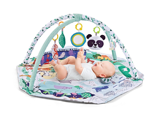 Tapis de Jeu Multifonction 8-en-1 - 6 Jouets Sensoriels Détachables et Doux