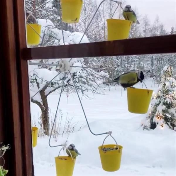 Nourrisseur à Oiseaux en Métal Jaune - Design Unique et Résistant aux Intempéries