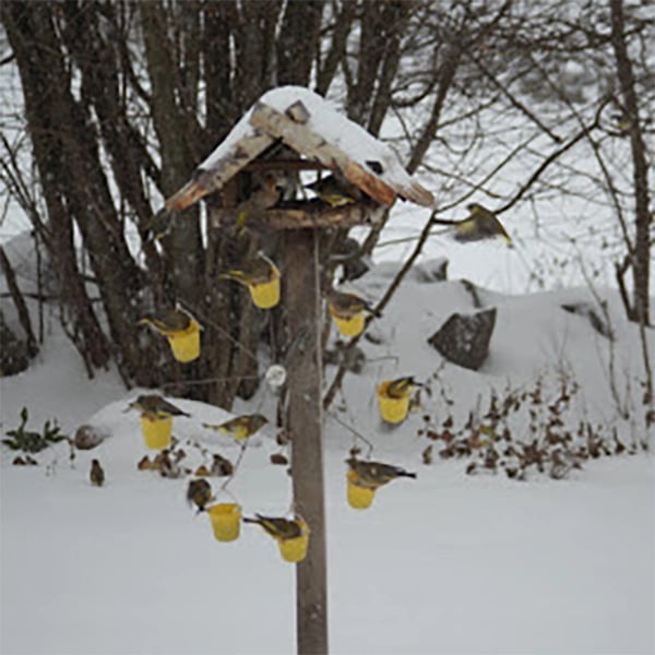 Nourrisseur à Oiseaux en Métal Jaune - Design Unique et Résistant aux Intempéries