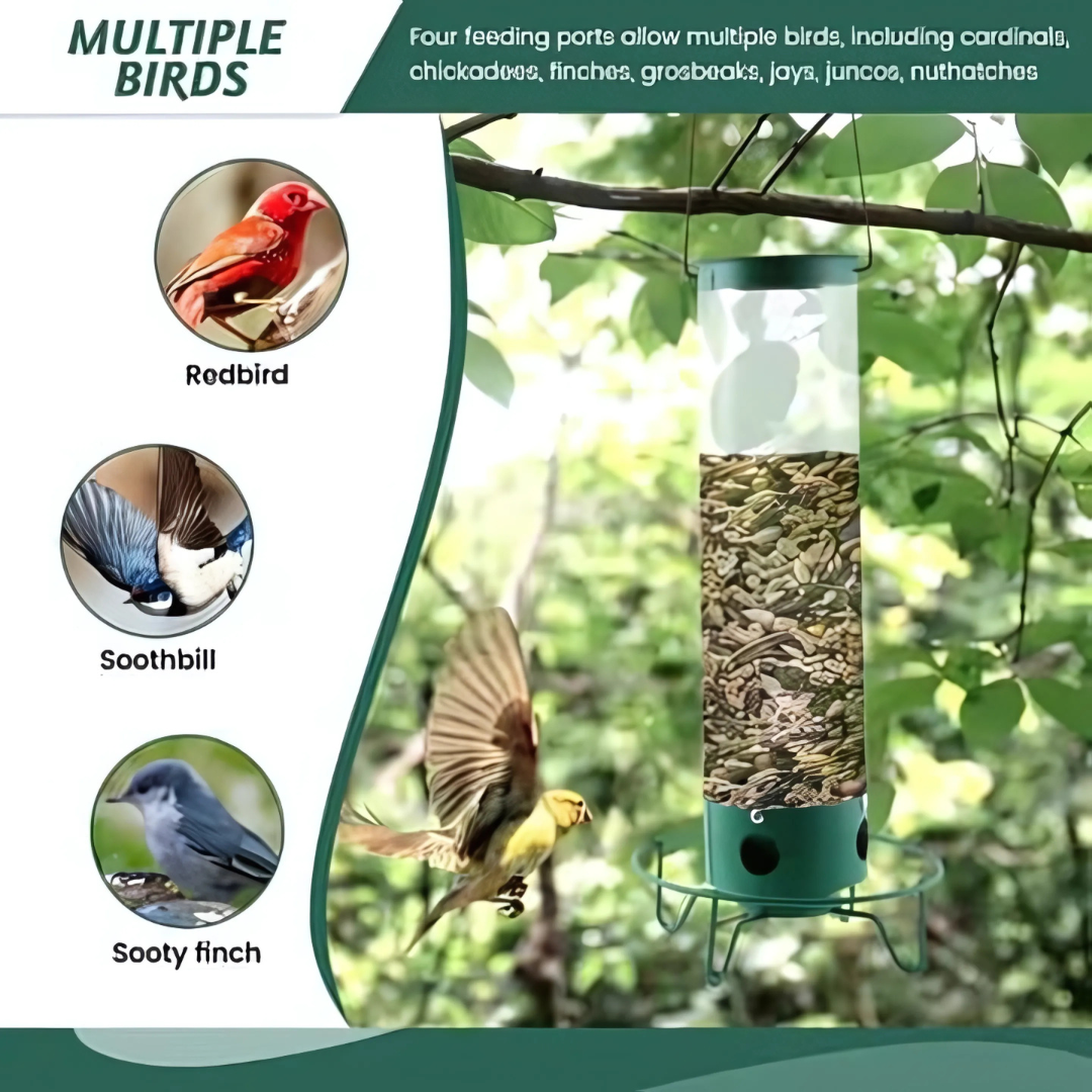 Mangeoire à Oiseaux Suspendue - Résistante aux Écureuils et Grande Capacité
