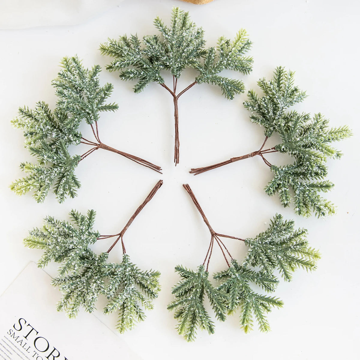 Décoration de Feuilles de Cactus - Touche Naturelle et Bohème pour Intérieur