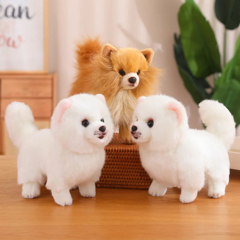 Jouet en Peluche Pomeranien - Douceur et Compagnie pour Enfants