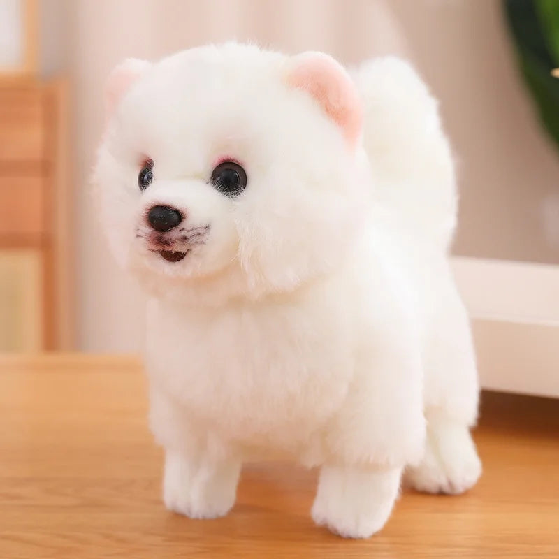 Jouet en Peluche Pomeranien - Douceur et Compagnie pour Enfants