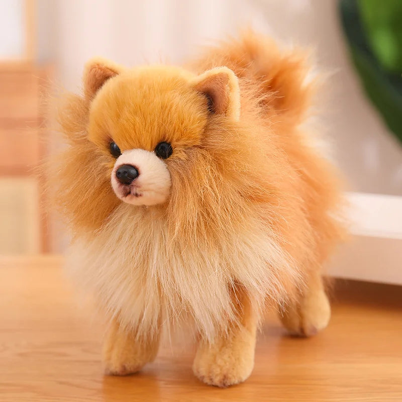 Jouet en Peluche Pomeranien - Douceur et Compagnie pour Enfants