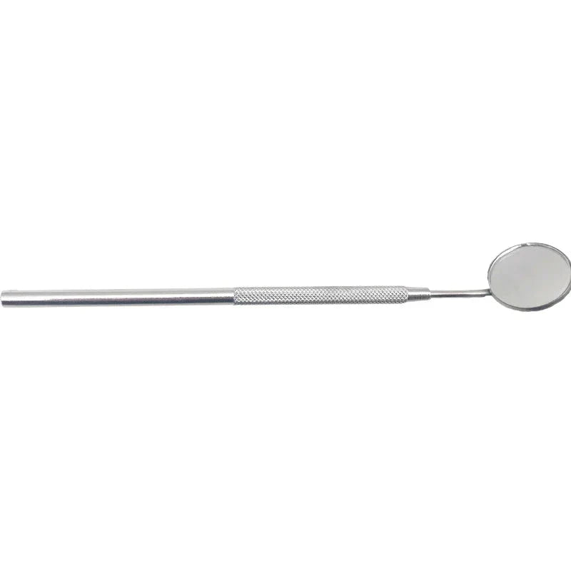 Outils Dentaires en Acier Inoxydable - Nettoyage Professionnel à Domicile