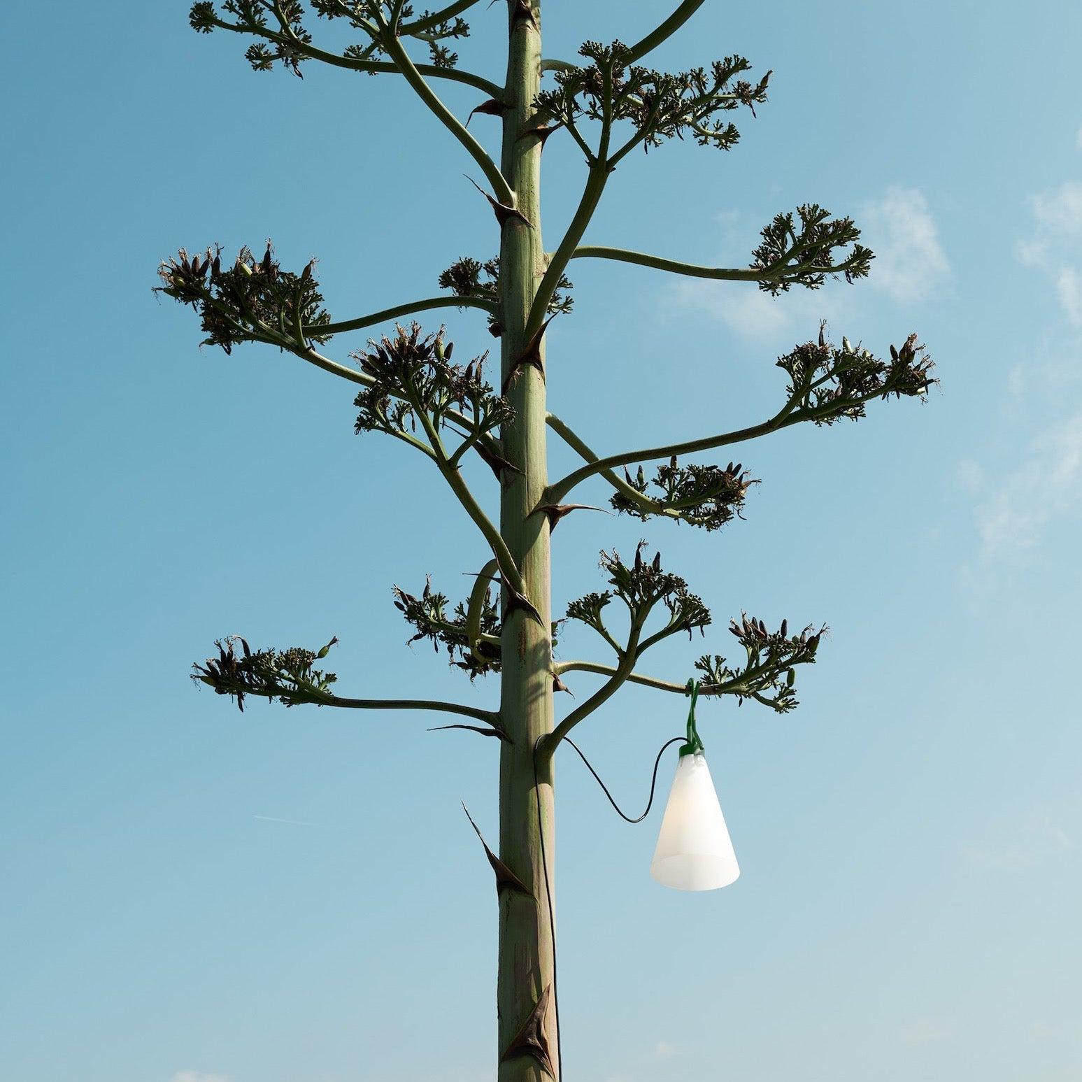 Lampe d'Extérieur Légère pour Camping - Design Pratique et Résistant aux Intempéries