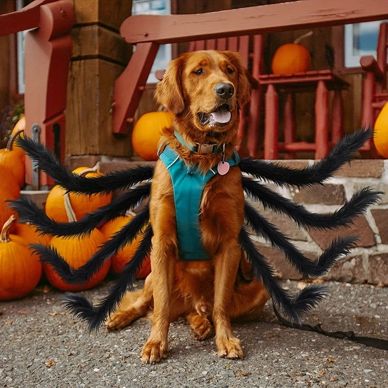 Costume Halloween pour Chien - Design d'Araignée Effrayante et Amusante