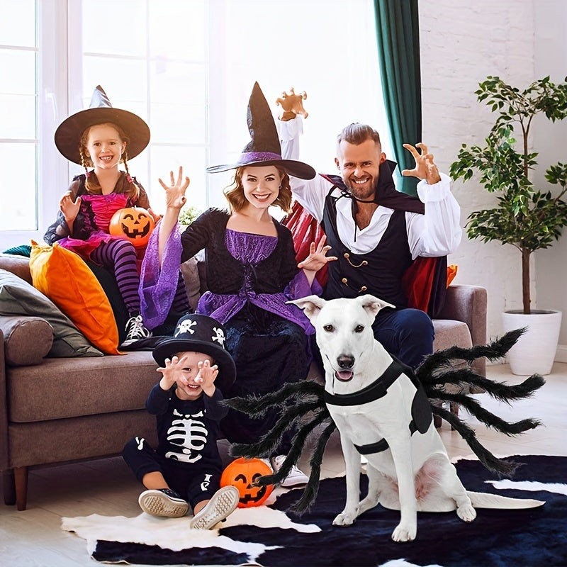Costume Halloween pour Chien - Design d'Araignée Effrayante et Amusante