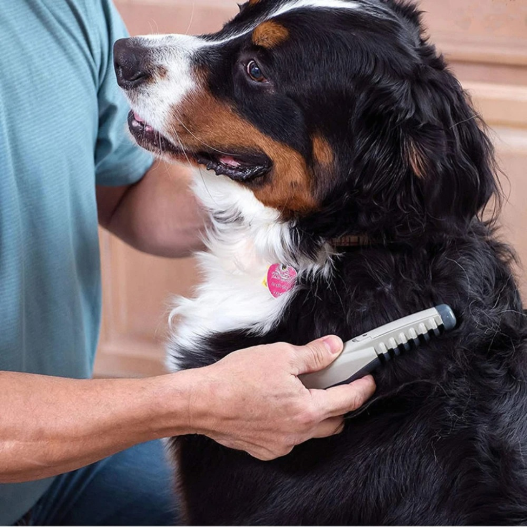 Tondeuse pour Chiens Anti-Enchevêtrements - Toilettage Doux et Sans Douleur