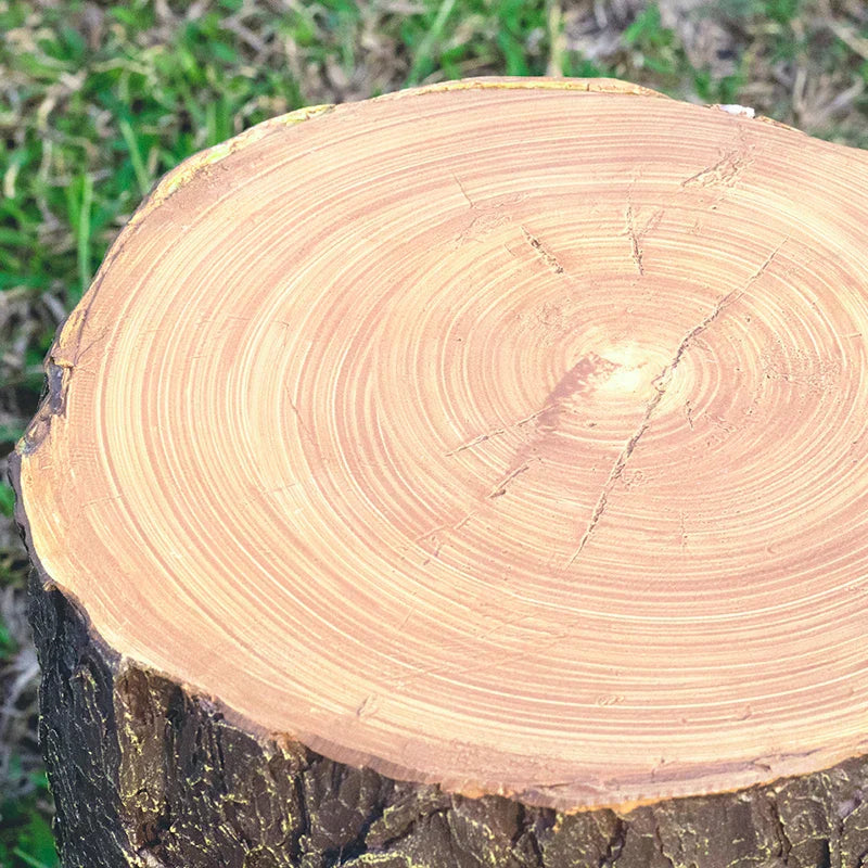Lampe de Jardin en Souche d'Arbre - Écoénergétique et Longue Durée de Vie