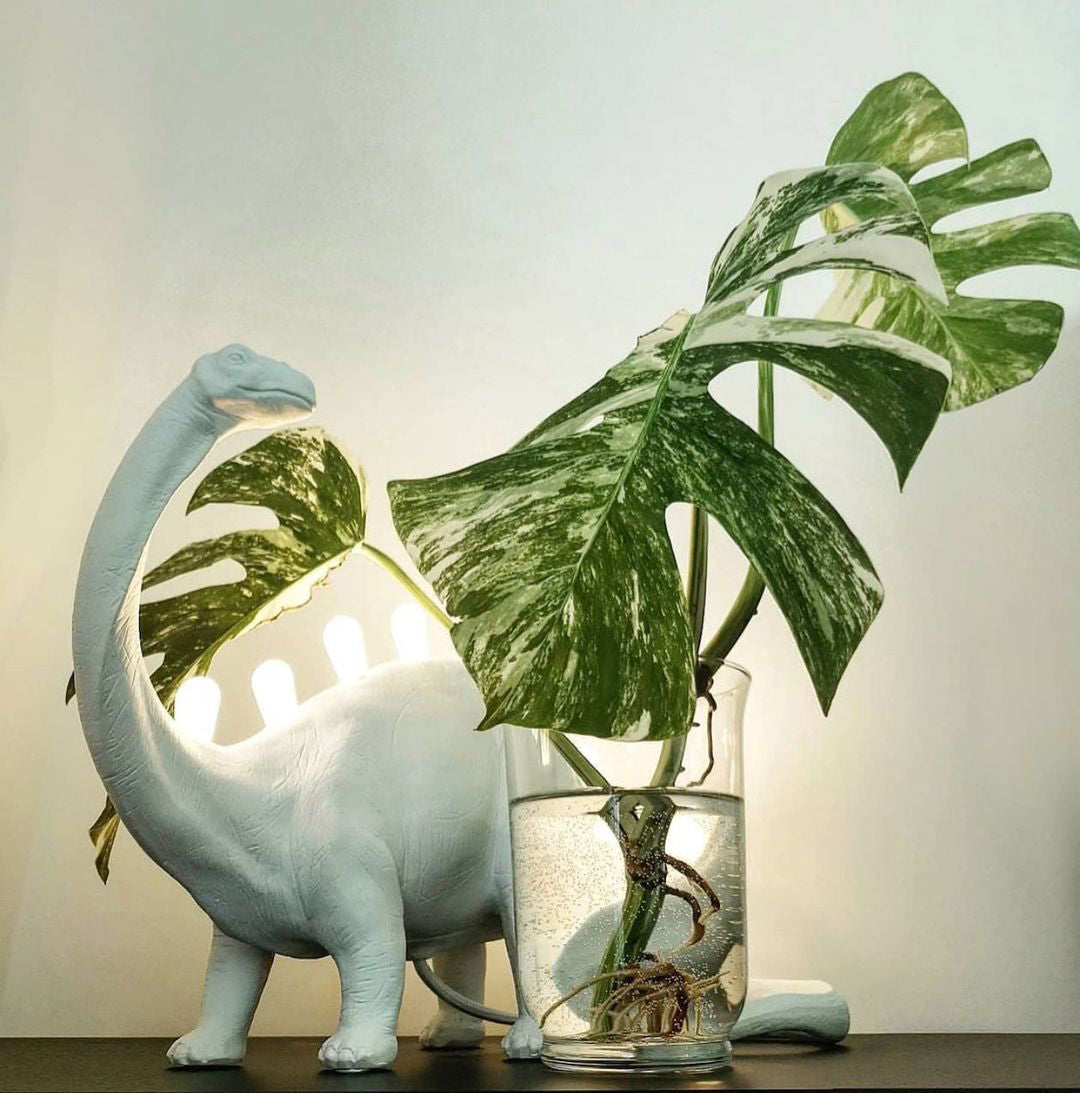 Lampe de Table Créative Tyrannosaurus - Design Unique avec Éclairage Surprenant