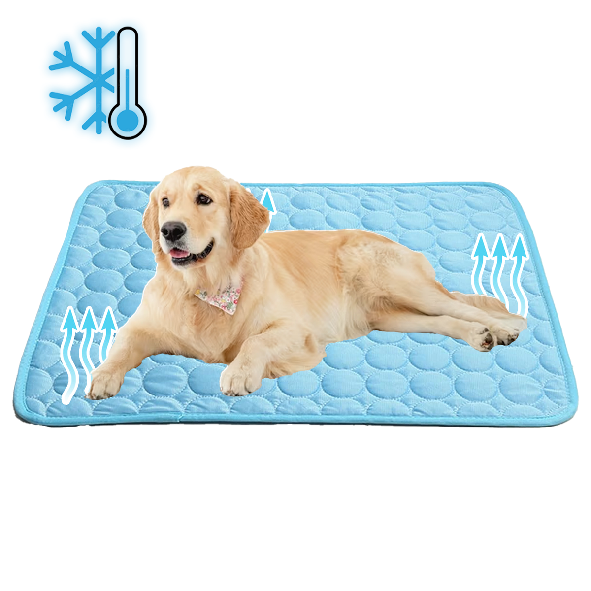 Tapis Refroidissant pour Chiens - Technologie Avancée et Sécurisée