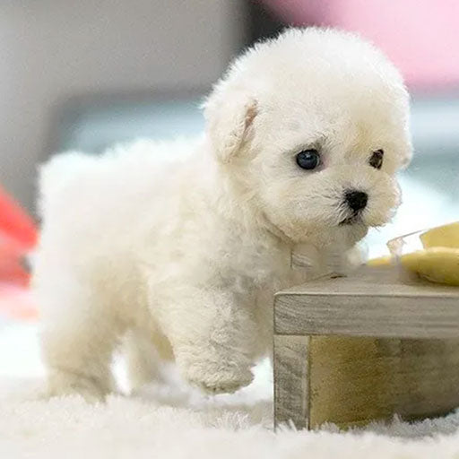 Jouet en Peluche Interactif de Chiot - Compagnon Doux et Écologique pour Tous les Âges