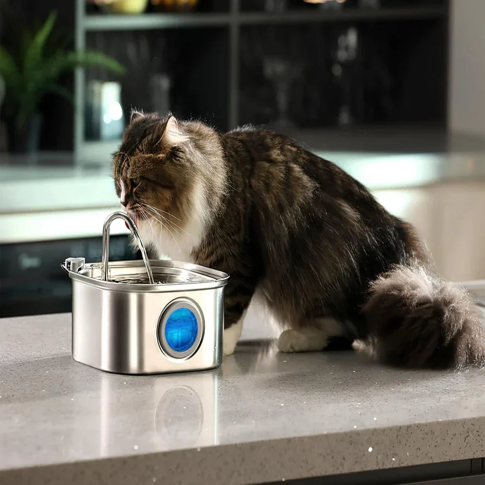 Fontaine à Eau en Acier Inoxydable - Design Élégant et Résistant aux Intempéries