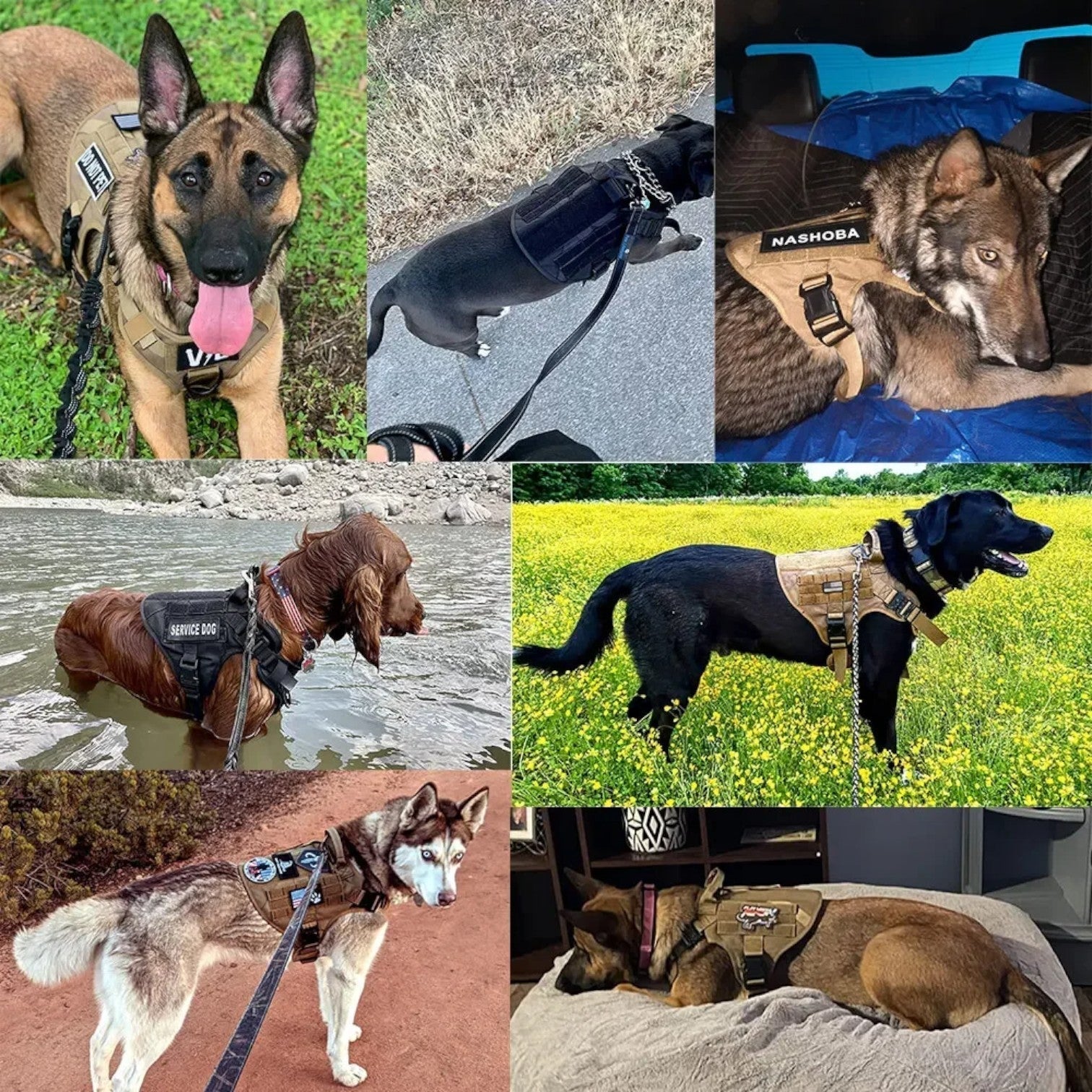 Harnais de Chien Tactique Ajustable - Poignée Robuste et Détails Réfléchissants