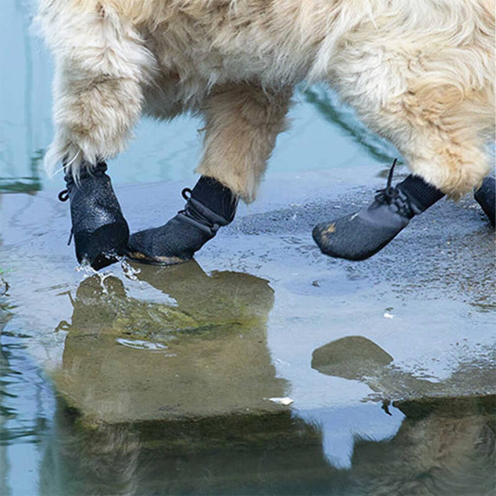 Bottes de Chien Imperméables - Protection Confortable sur Tous les Terrains