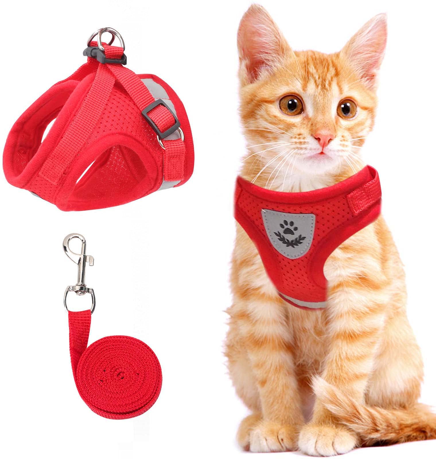 Harnais Réfléchissant pour Chats - Sécurité et Confort lors des Promenades Nocturnes