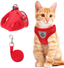 Harnais Réfléchissant pour Chats - Sécurité et Confort lors des Promenades Nocturnes