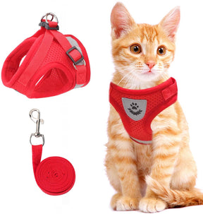 Harnais Réfléchissant pour Chats - Sécurité et Confort lors des Promenades Nocturnes