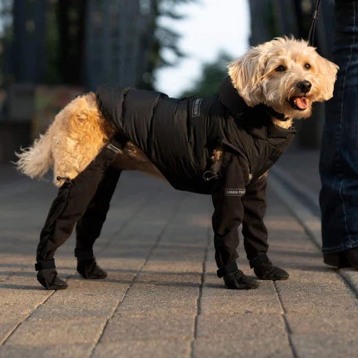 Bottes Impermeables pour Chiens - Protection Confortable par Tous les Temps