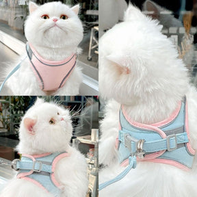 Harnais pour Chat Anti-Fuite - Ajustable et Confortable pour Sécurité en Plein Air