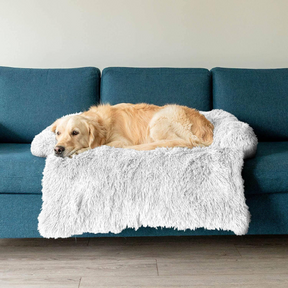 Protecteur de Lit pour Chien - Imperméable et Doux avec Antidérapant