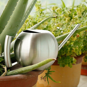 Arrosoir en Métal pour Plantes d'Intérieur - Écoulement Précis et Design Élégant