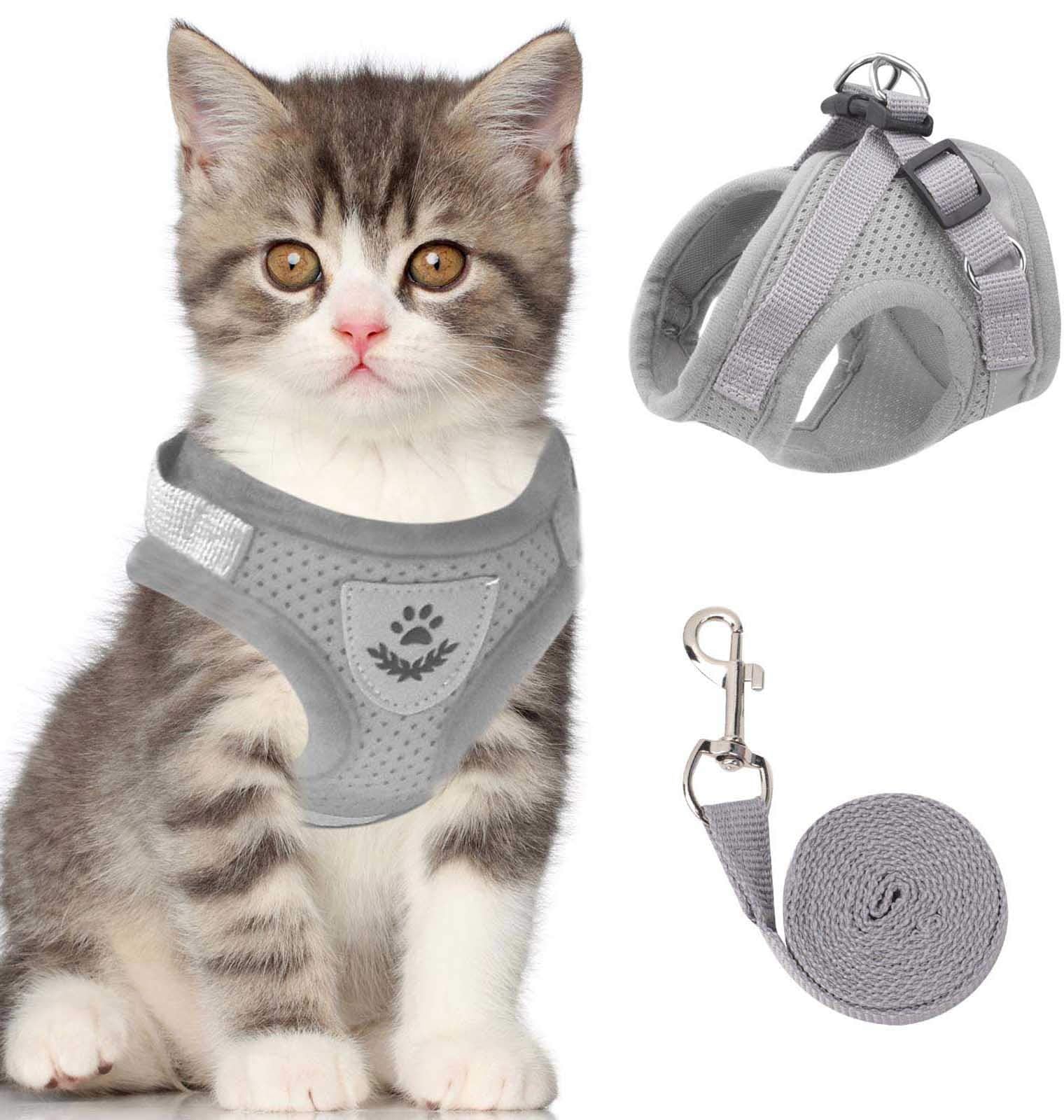 Harnais Réfléchissant pour Chats - Sécurité et Confort lors des Promenades Nocturnes