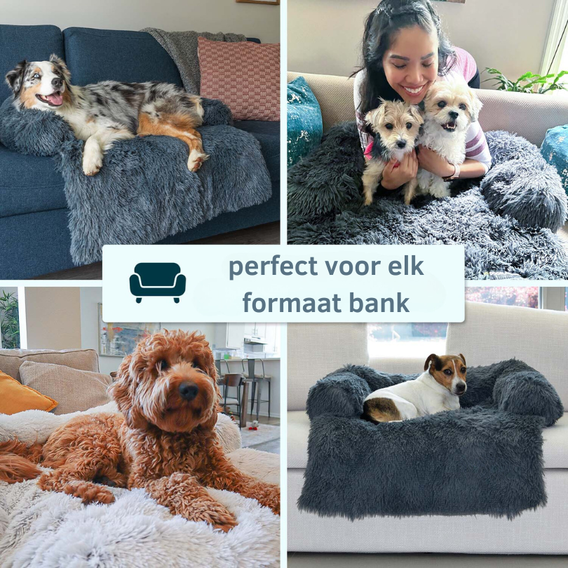 Protecteur de Lit pour Chien - Imperméable et Doux avec Antidérapant