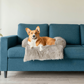 Protecteur de Lit pour Chien - Imperméable et Doux avec Antidérapant