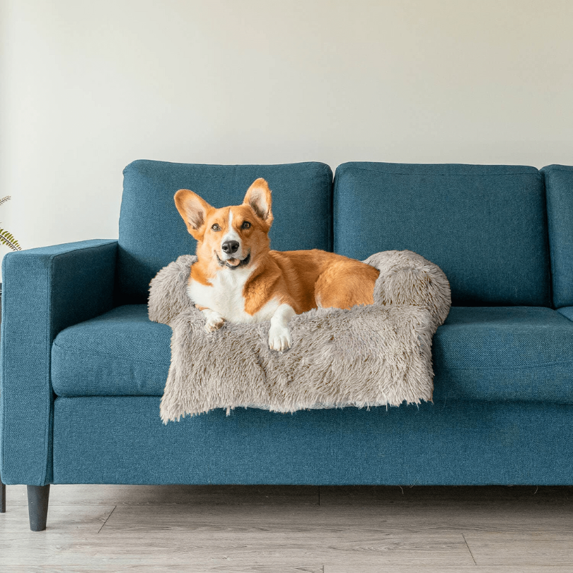 Protecteur de Lit pour Chien - Imperméable et Doux avec Antidérapant