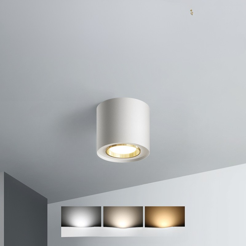Luminaire de Plafond Rond Élégant - Éclairage Économe en Énergie et Polyvalent