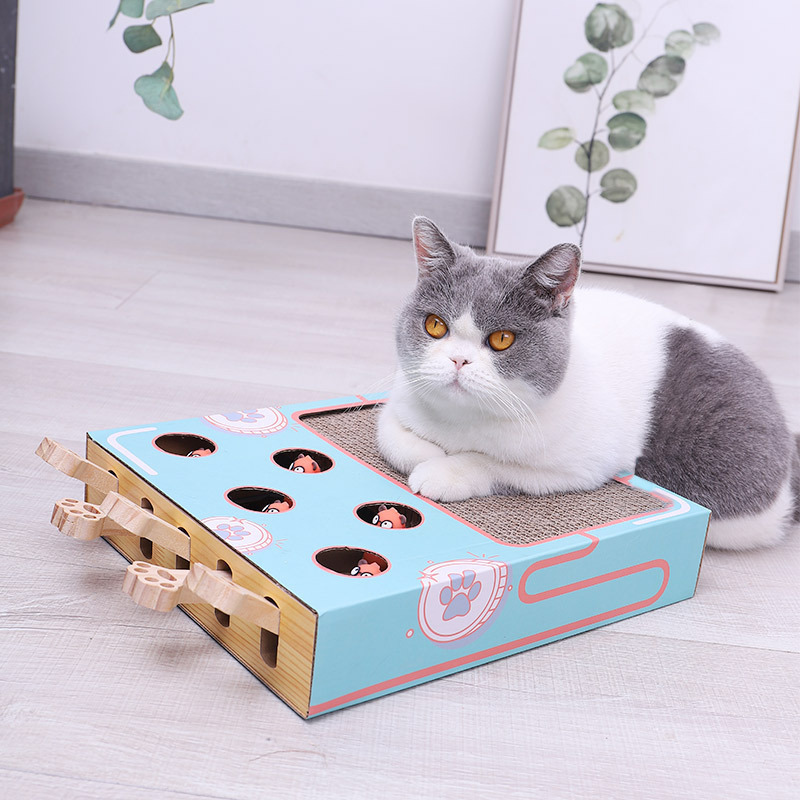 Parc à Chats Interactif 3-en-1 - Jouet Écologique et Gain de Place