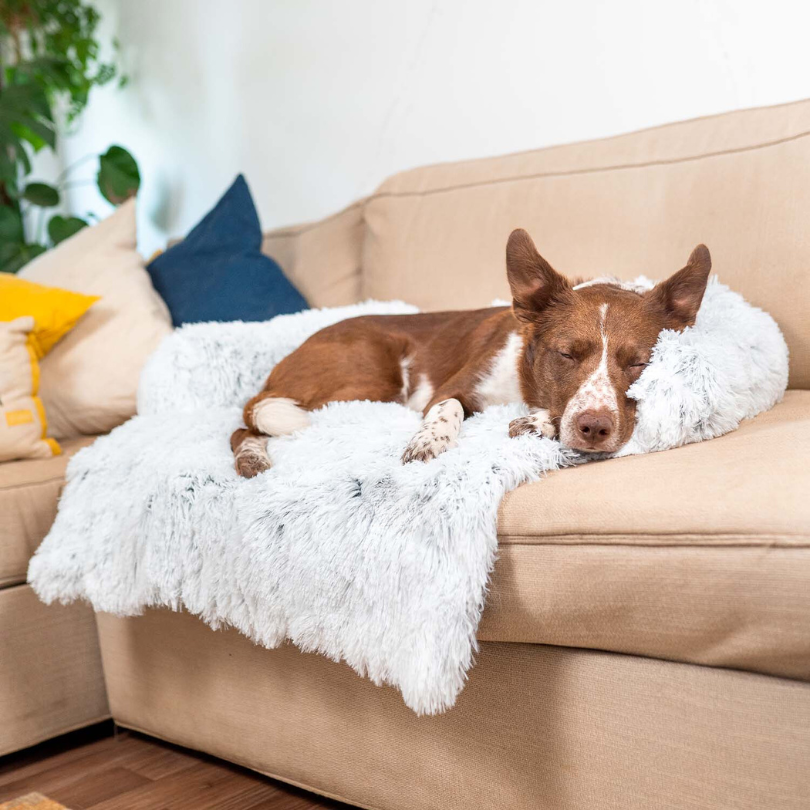 Protecteur de Lit pour Chien - Imperméable et Doux avec Antidérapant