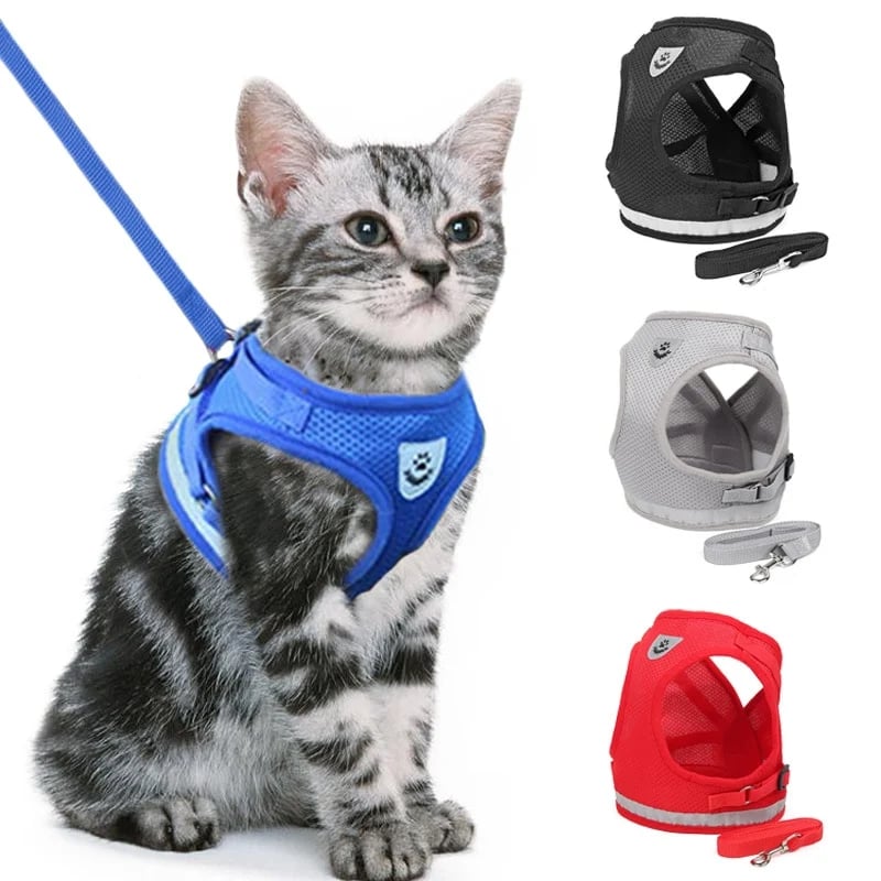 Harnais Réfléchissant pour Chats - Sécurité et Confort lors des Promenades Nocturnes