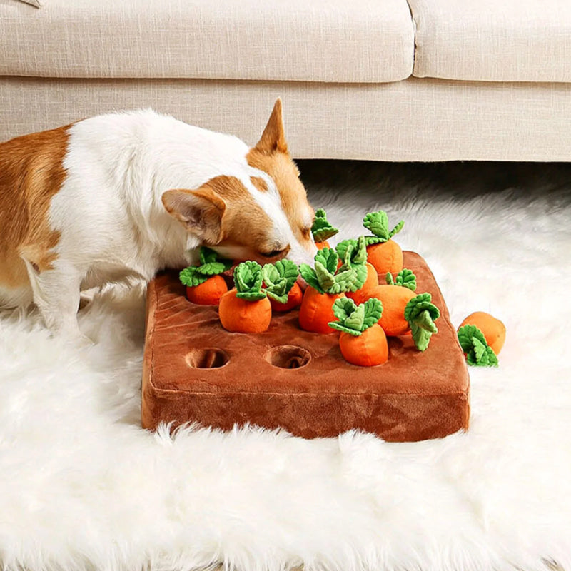 Jouet Puzzle Interactif pour Chien - Stimulation Mentale et Engagement Amusant