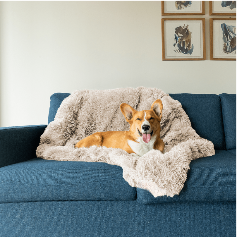 Couverture Apaisante pour Chien - Tissu Doux et Lavable en Machine