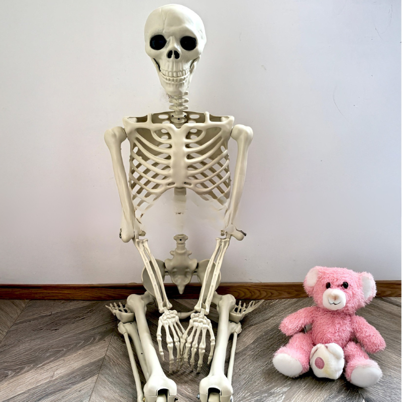 Squelette Halloween Réaliste 170 cm - Décoration Extérieure Posable Effrayante