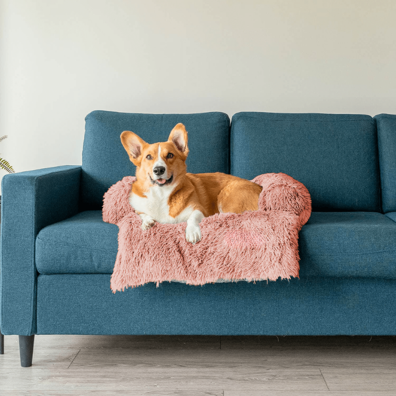 Protecteur de Lit pour Chien - Imperméable et Doux avec Antidérapant