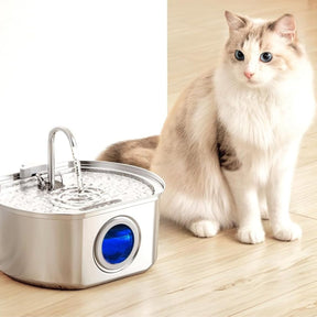 Fontaine à Eau en Acier Inoxydable - Design Élégant et Résistant aux Intempéries