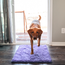 Tapis Absorbant pour Chien - Antidérapant et Lavable en Machine