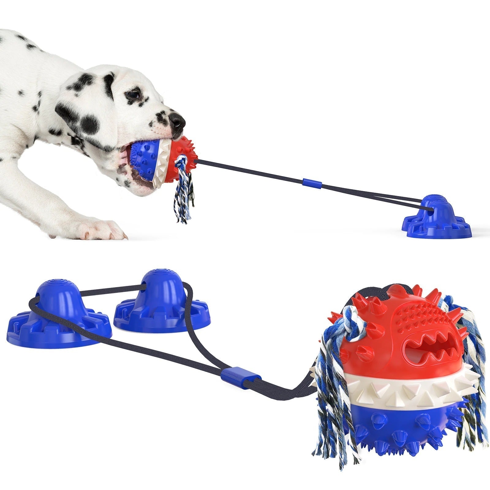 Jouet Interactif pour Chien - Durable avec Barres à Mâcher et Balles Roulantes