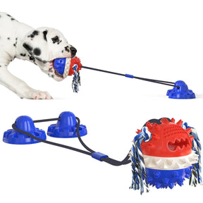 Jouet Interactif pour Chien - Durable avec Barres à Mâcher et Balles Roulantes