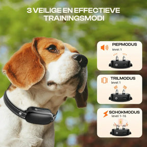 Collier de Dressage Électrique pour Chien - Étanche, 16 Niveaux de Choc et 1000m de Portée