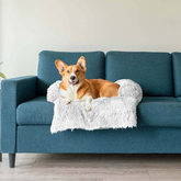 Protecteur de Lit pour Chien - Imperméable et Doux avec Antidérapant