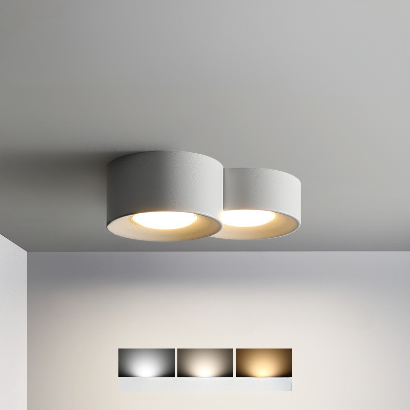 Luminaire de Plafond Rond Élégant - Éclairage Économe en Énergie et Polyvalent