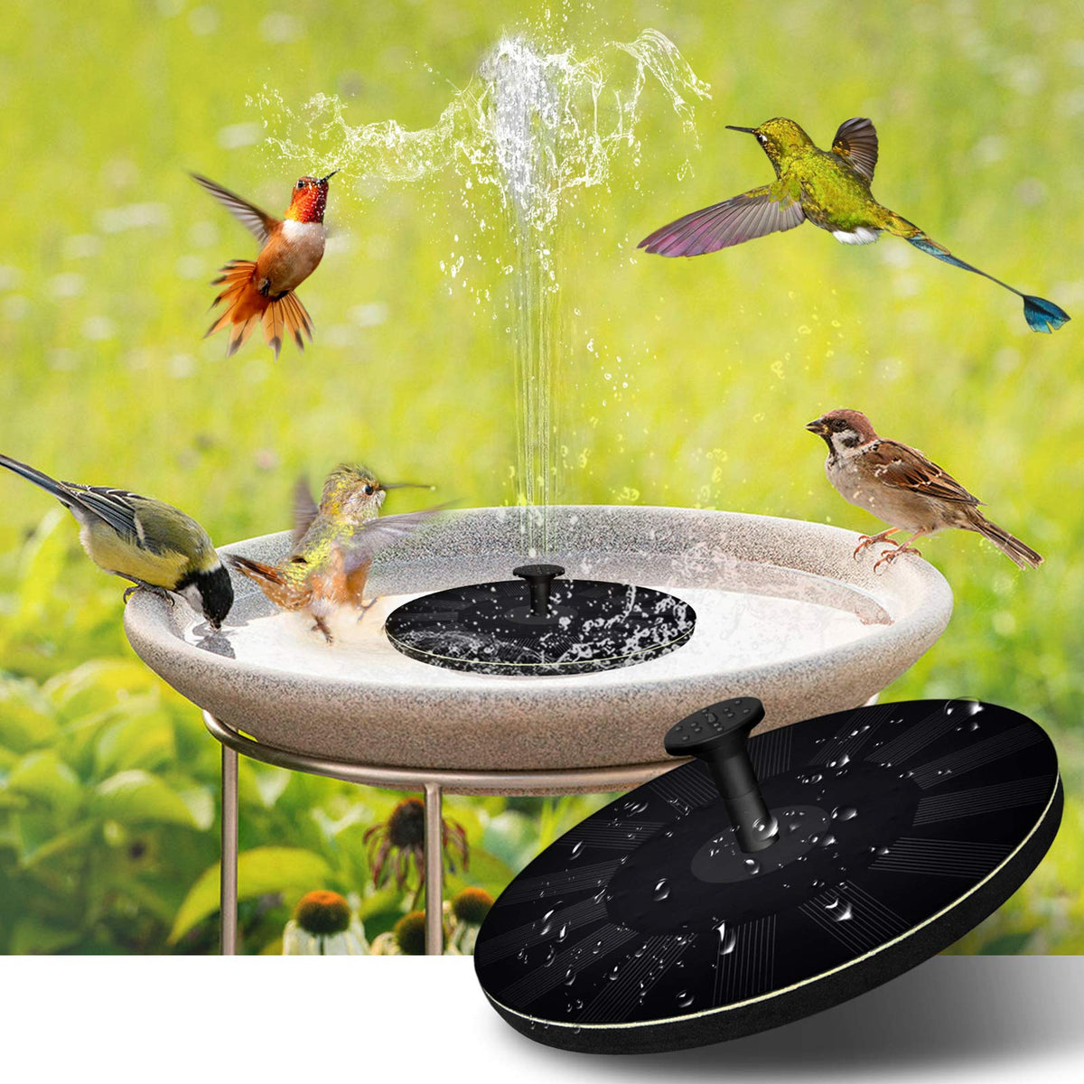Fontaine à Oiseaux Solaire Écologique - Sons d'Eau Relaxants pour Jardin