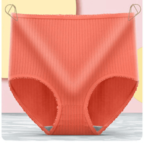 Sous-vêtements Imperméables Femme - Léger, Absorbant et Confort Stylé