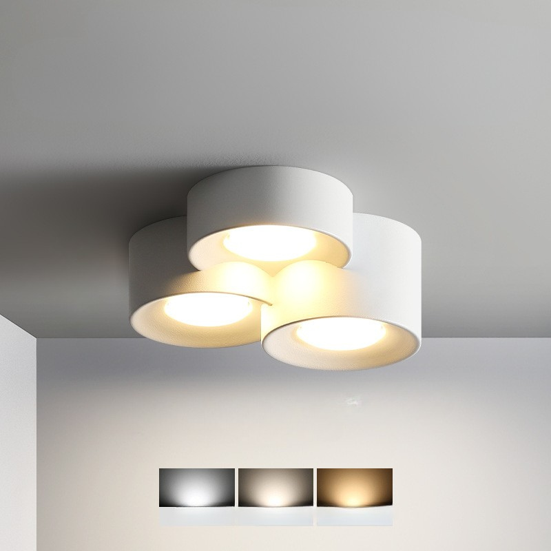 Luminaire de Plafond Rond Élégant - Éclairage Économe en Énergie et Polyvalent
